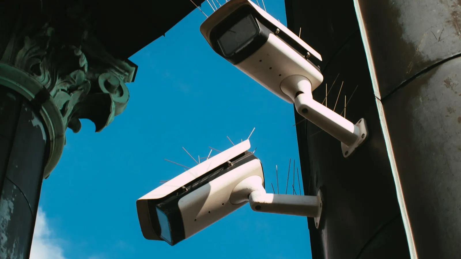 Does AI work with my Tapo, Imou, Qubo or Prama camera? — PGAK Insights cover image